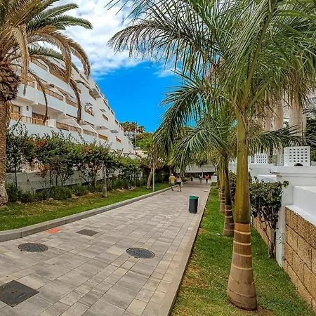 Geranios Playa Americas